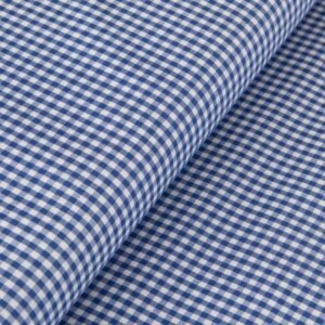 Cuadro Vichy Azulón Mini