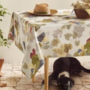 Tela Mantel Resinado Rodas Azul