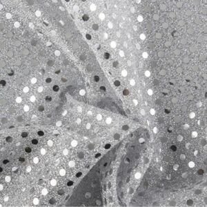 Tejido Lentejuelas Círculo Pequeño Plata