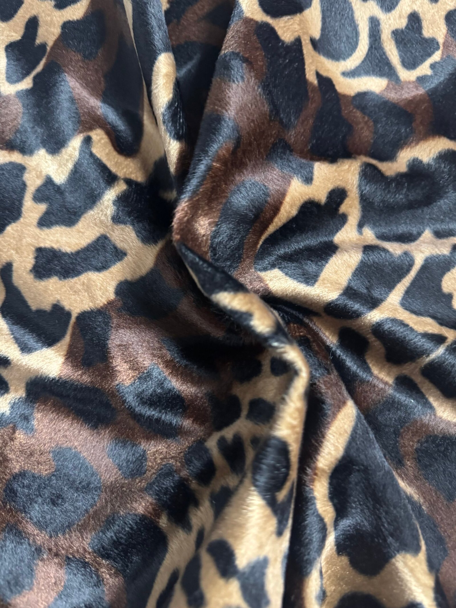 Pelo Corto Hiena - Imagen 3