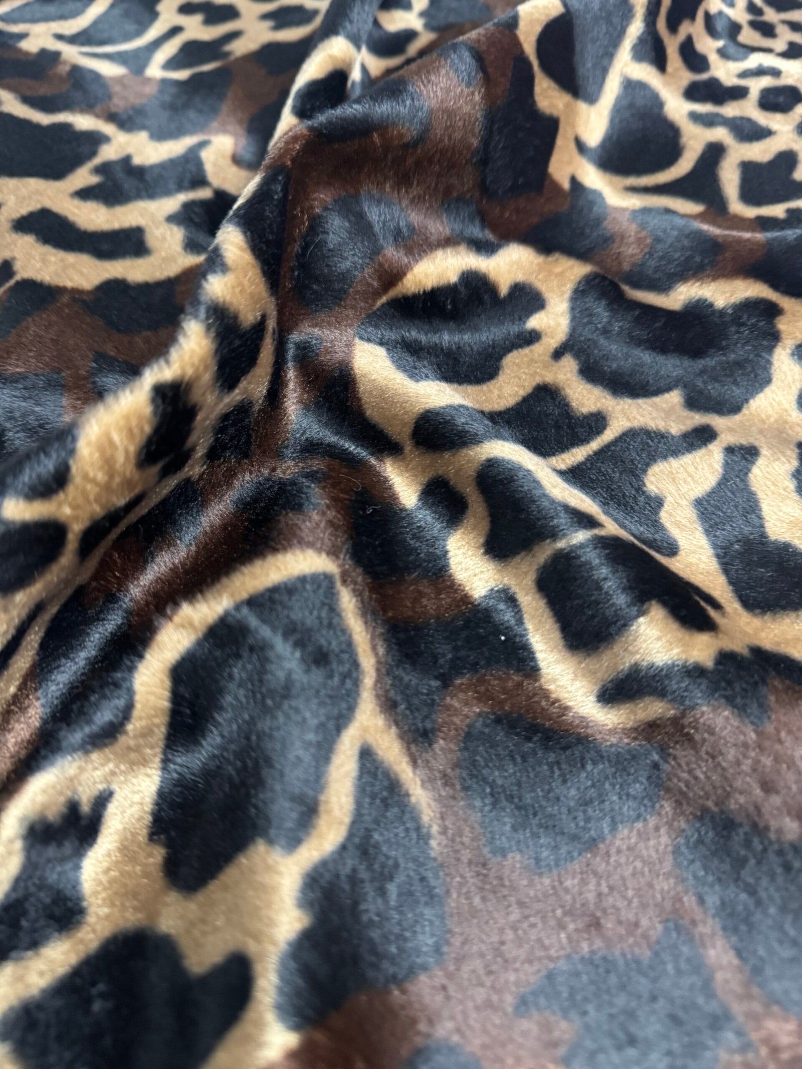 Pelo Corto Hiena - Imagen 2