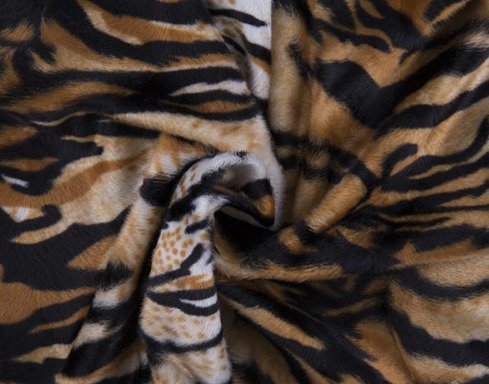 Pelo Corto Tigre - Imagen 2